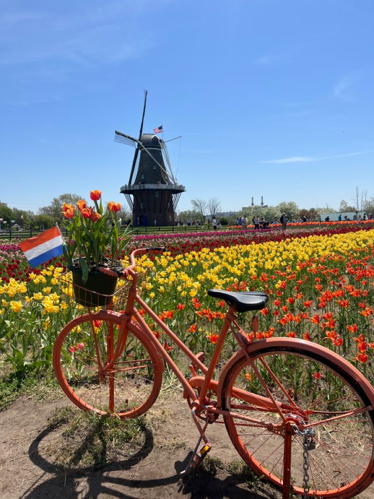 a bike parked in front of a field full of flowers with a windmill in the background