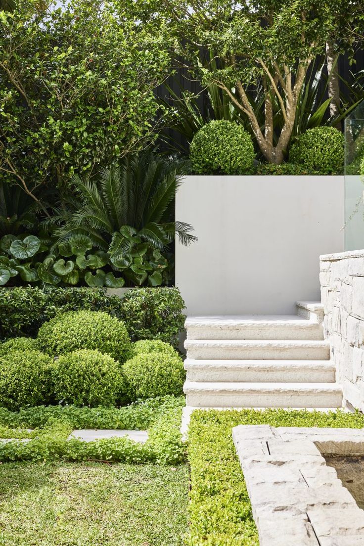 an outdoor garden with steps, bushes and trees