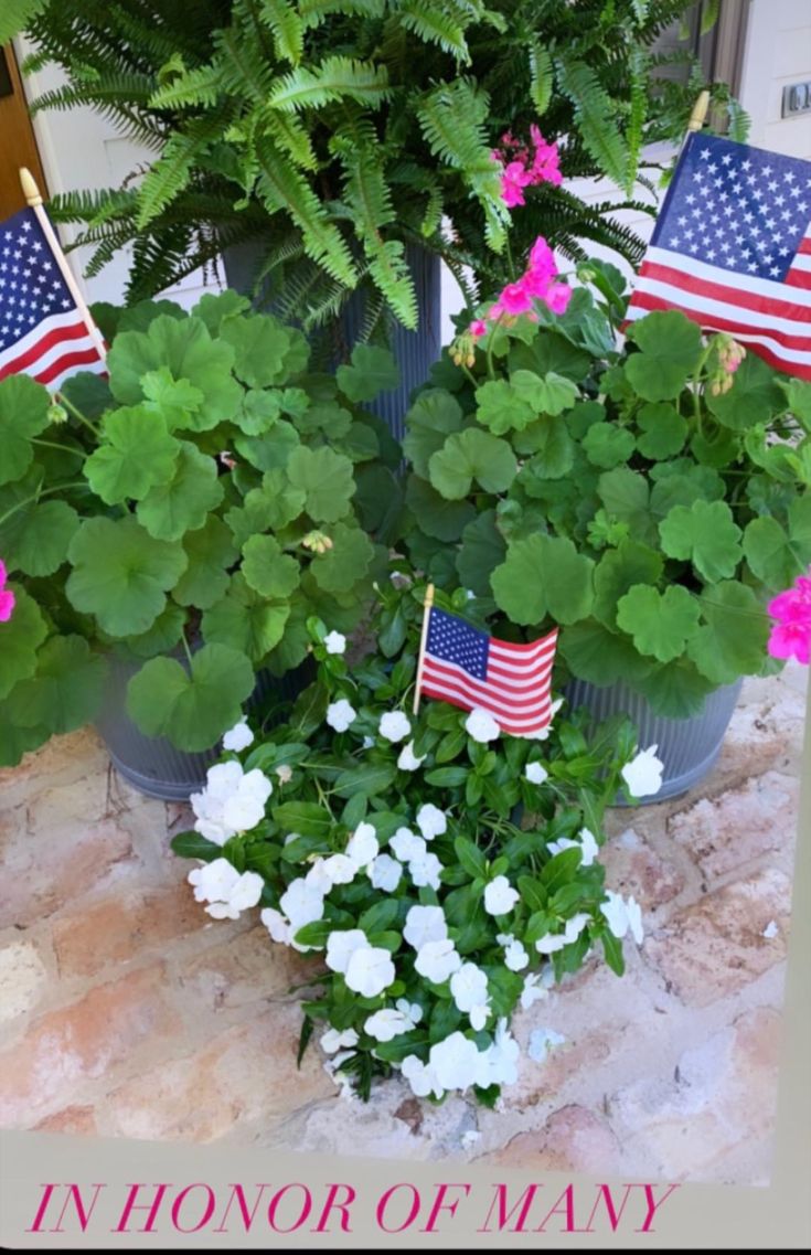 potted plants with flowers and flags on them