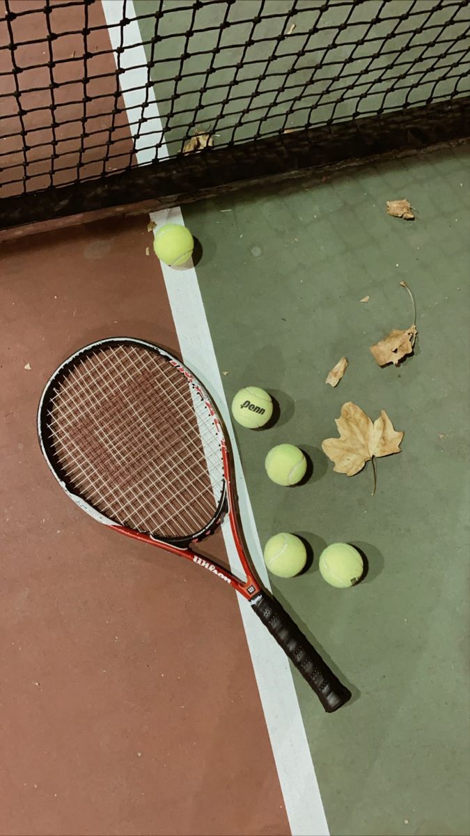 a tennis racket and some balls on the ground next to a net with leaves