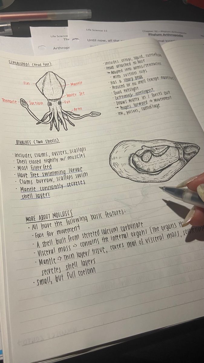 a hand holding a pencil next to an open notebook with drawings on it and writing