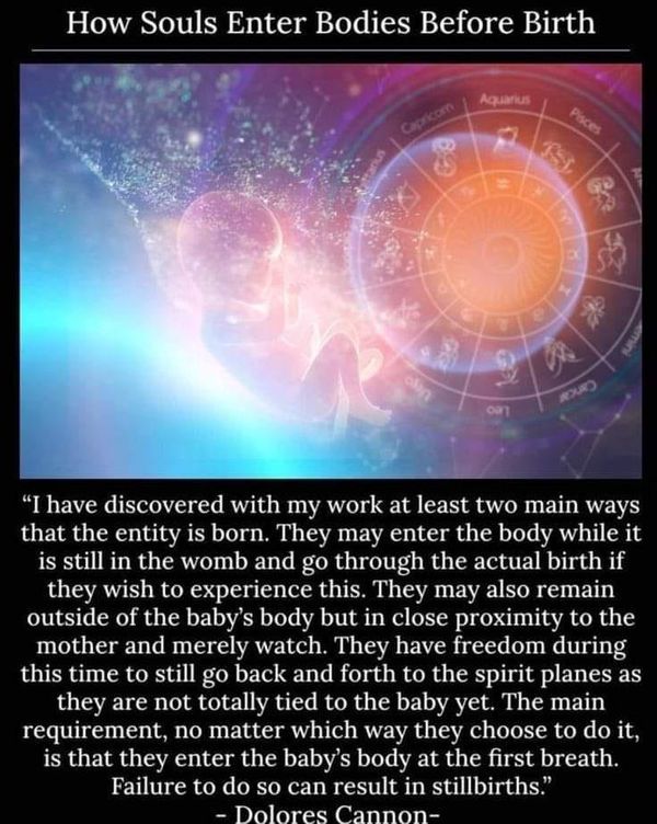 Verifiable Children’s Reincarnation Stories | Quote from Dolores Cannon Dolores Cannon Quotes, Quantum Physics Spirituality, Reincarnation Story, Dolores Cannon, Cool Science Facts, Divine Feminine Spirituality, Spirit Science, Energy Healing Spirituality, Spiritual Truth