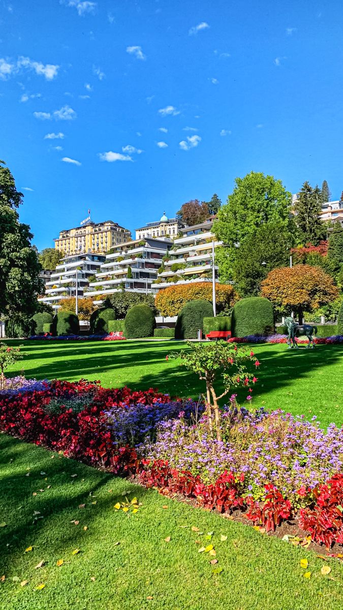 a park with lots of flowers and buildings in the background