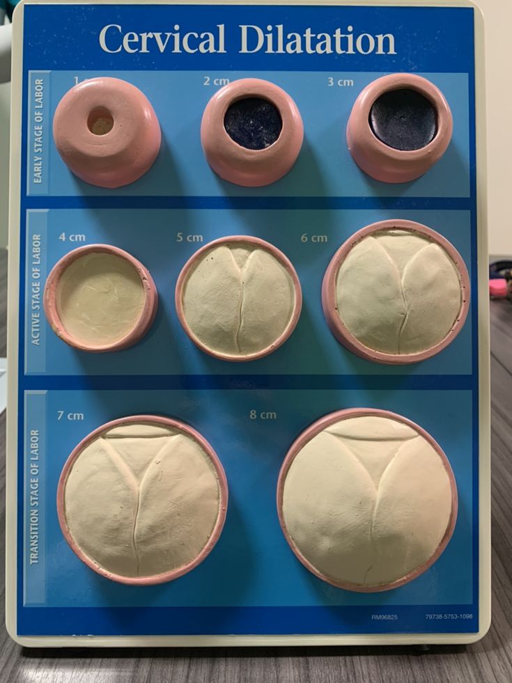 the instructions for making ceramic dillations are displayed