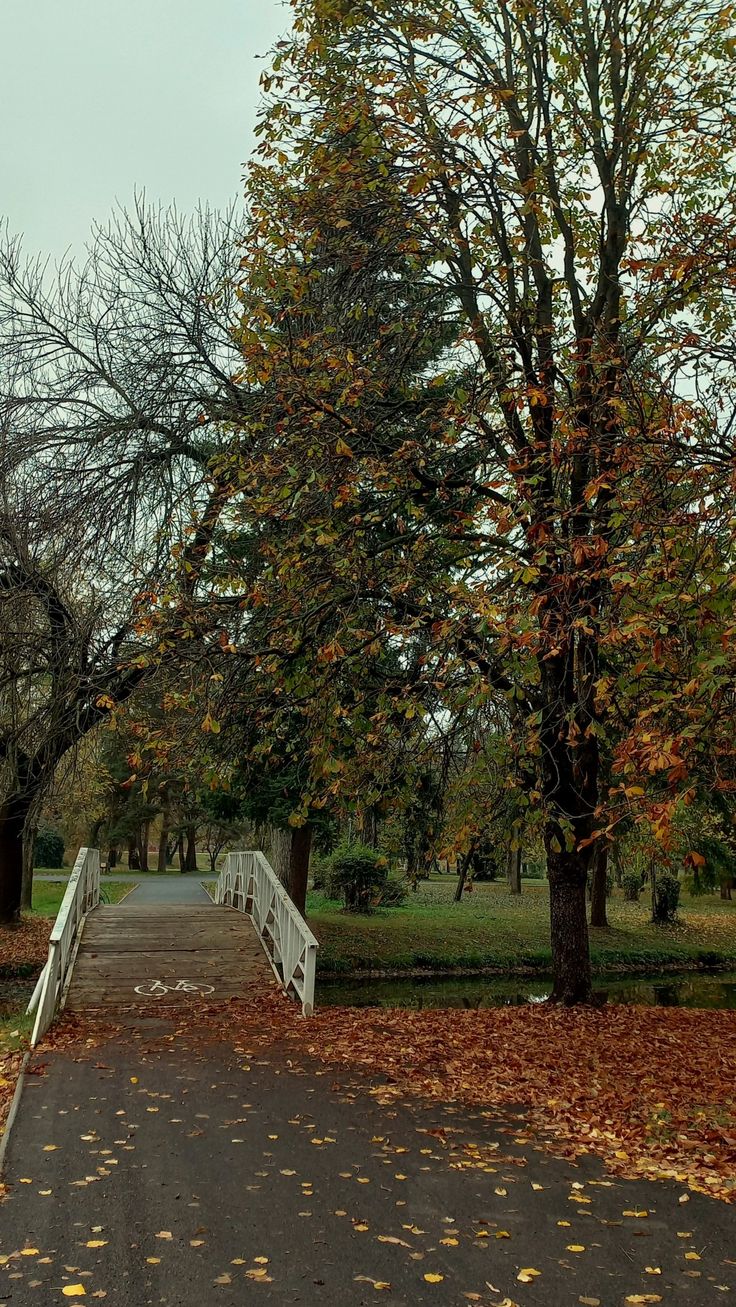 a white bridge crossing over a leaf covered road next to trees with leaves on the ground