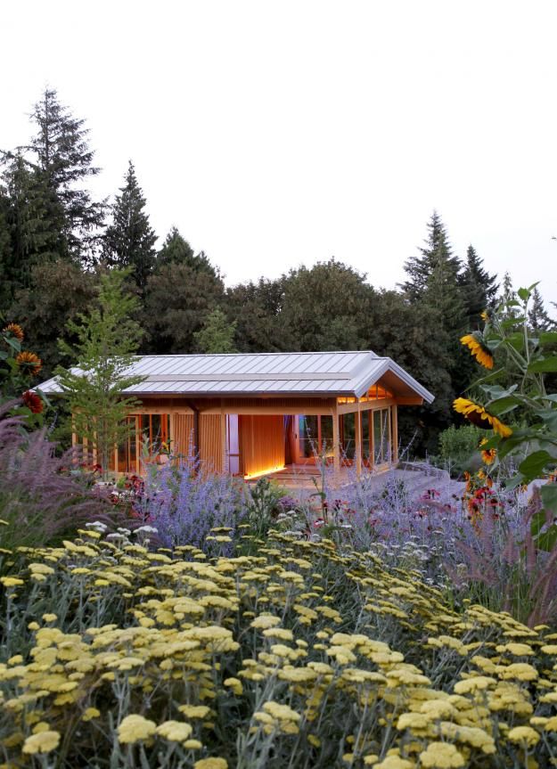 a garden with yellow and purple flowers in front of a small building surrounded by trees