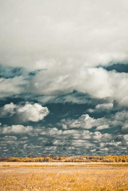 an open field with trees and clouds in the background