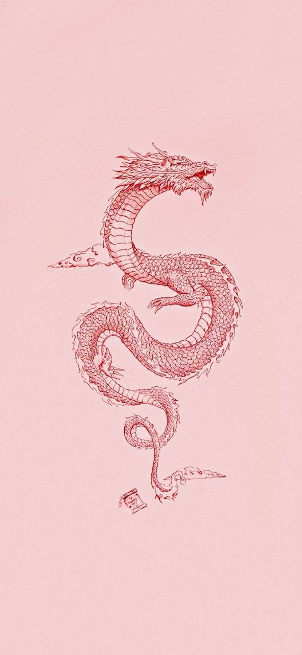 a drawing of a dragon on a pink background