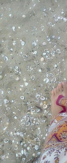 a person with their feet in the sand and shells on the ground next to them