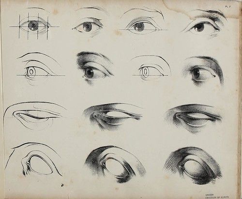 an old book with various types of eyes and their features are shown in black ink