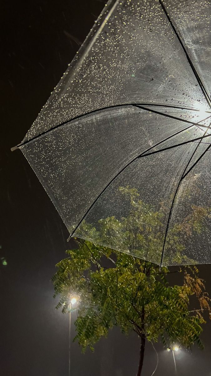 an open umbrella sitting next to a tree on a rainy night with street lights in the background