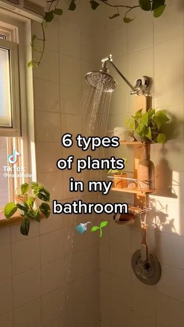 a shower head with plants growing out of it and the words 6 types of plants in my bathroom