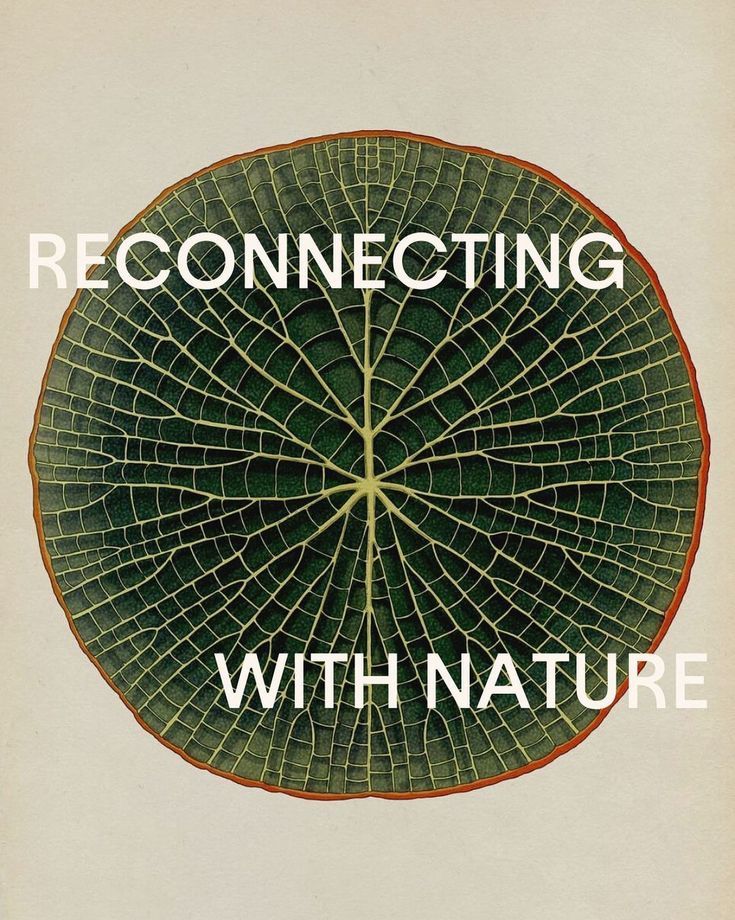 a book cover with an image of a leaf and the words reconecting with nature