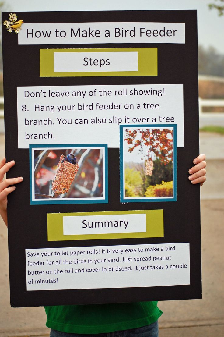 a person holding up a sign that says how to make a bird feeder