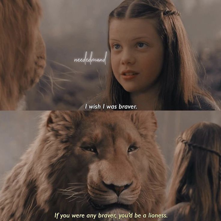 the lion and the witch are talking to each other in this scene from the movie