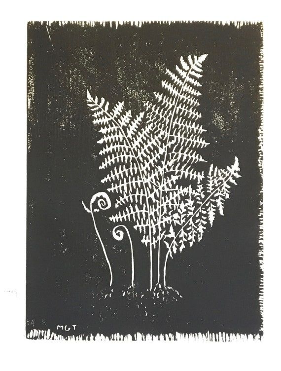 a black and white drawing of a fern tree