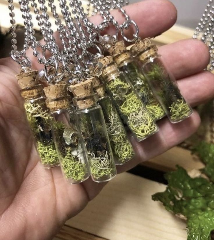 Moss And Lichen, Forest Jewelry, Magia Das Ervas, Beautiful Oregon, Goblin Core, Witchy Crafts, Bottle Charms, Columbia River Gorge, Columbia River