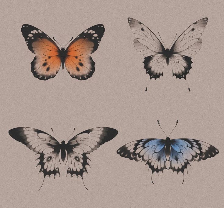 four different types of butterflies on a beige background