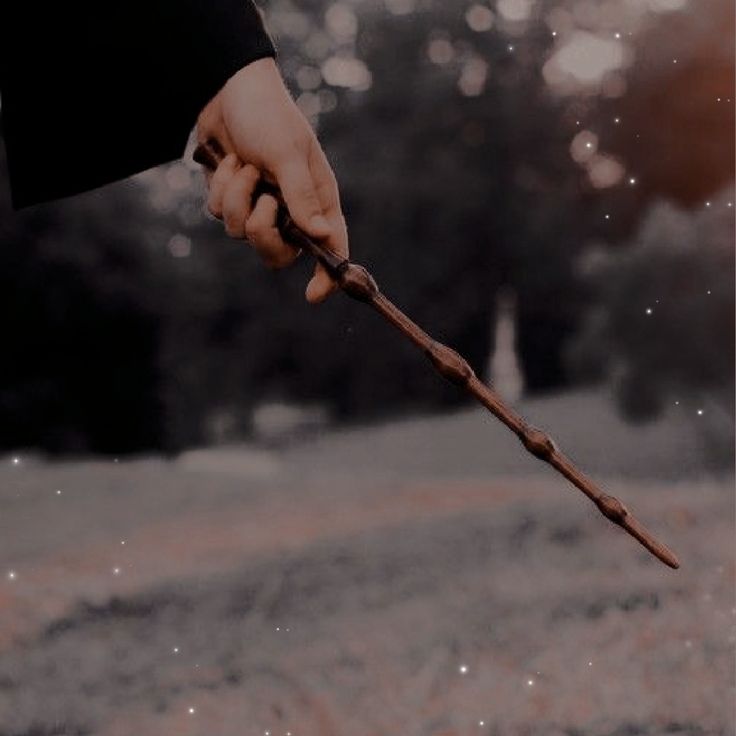 a person holding an old fashioned stick in their hand while walking through the grass with trees in the background