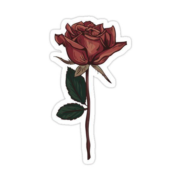 a red rose sticker on a white background