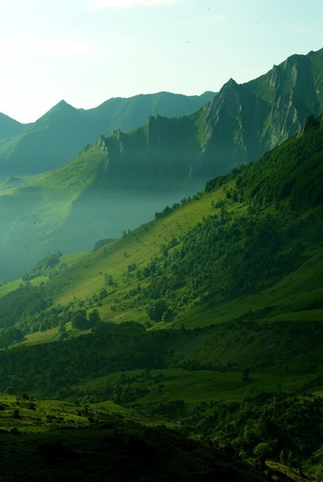 the mountains are covered in green grass