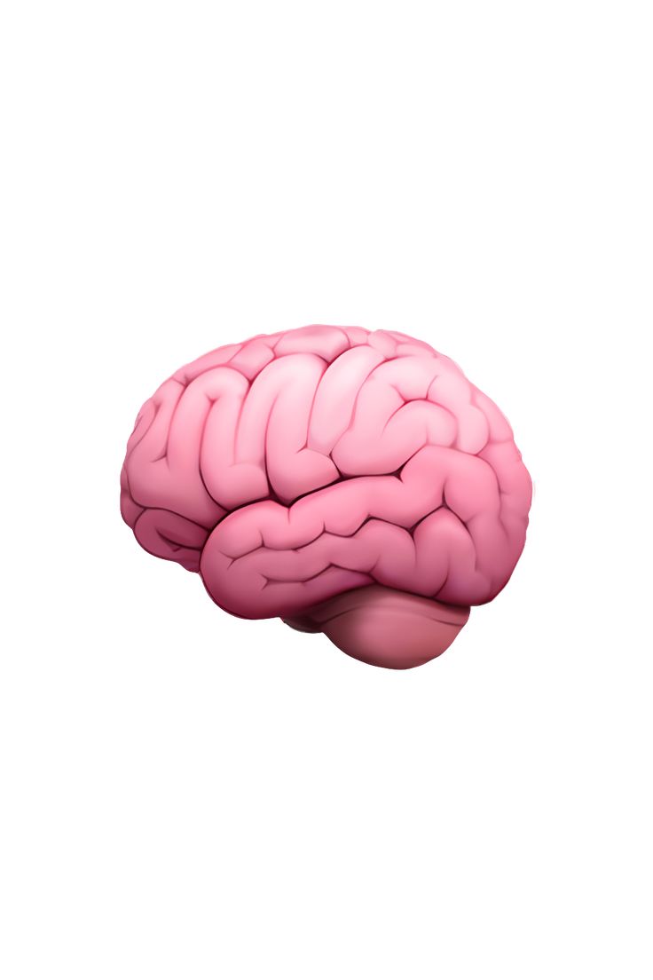 an image of a pink brain on a white background