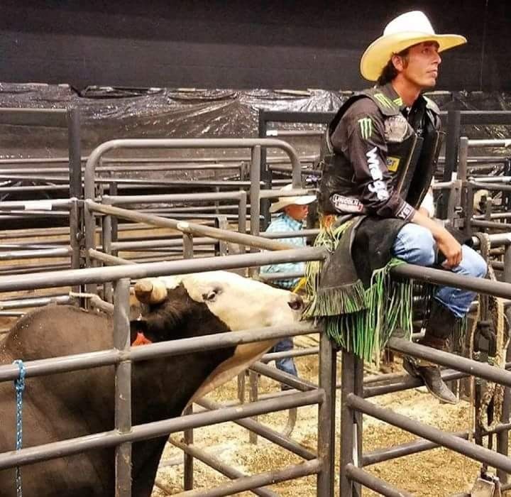 a man sitting on top of a metal fence next to two cows in an arena