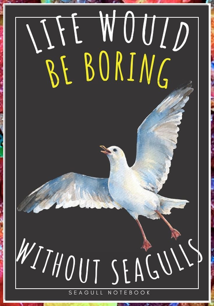 Seagull Notebook: Large Lined Journal For Your Daily To do List Note | 100 pages Decorated With Small Wildlife Birds Face Designs and Cute Seagulls ... Book Gift to Keep track & Record Information Small Outdoor Kitchen Design, Small Outdoor Kitchens, Optimize Space, Lined Journal, Compact Kitchen, Book Gift, Outdoor Kitchen Design, Face Design, Outdoor Entertaining