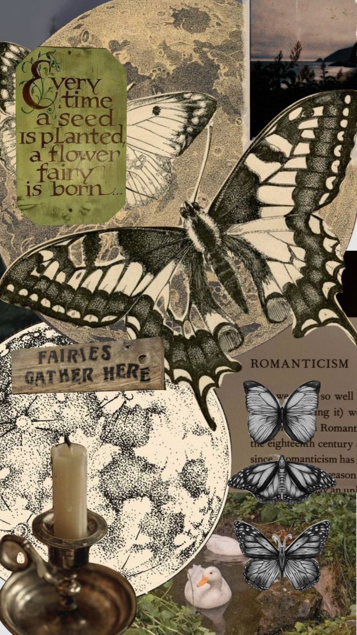 a collage of butterflies and other things