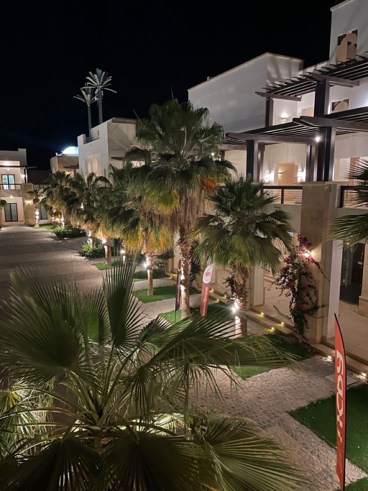 palm trees are lit up at night in front of an apartment building with lights on