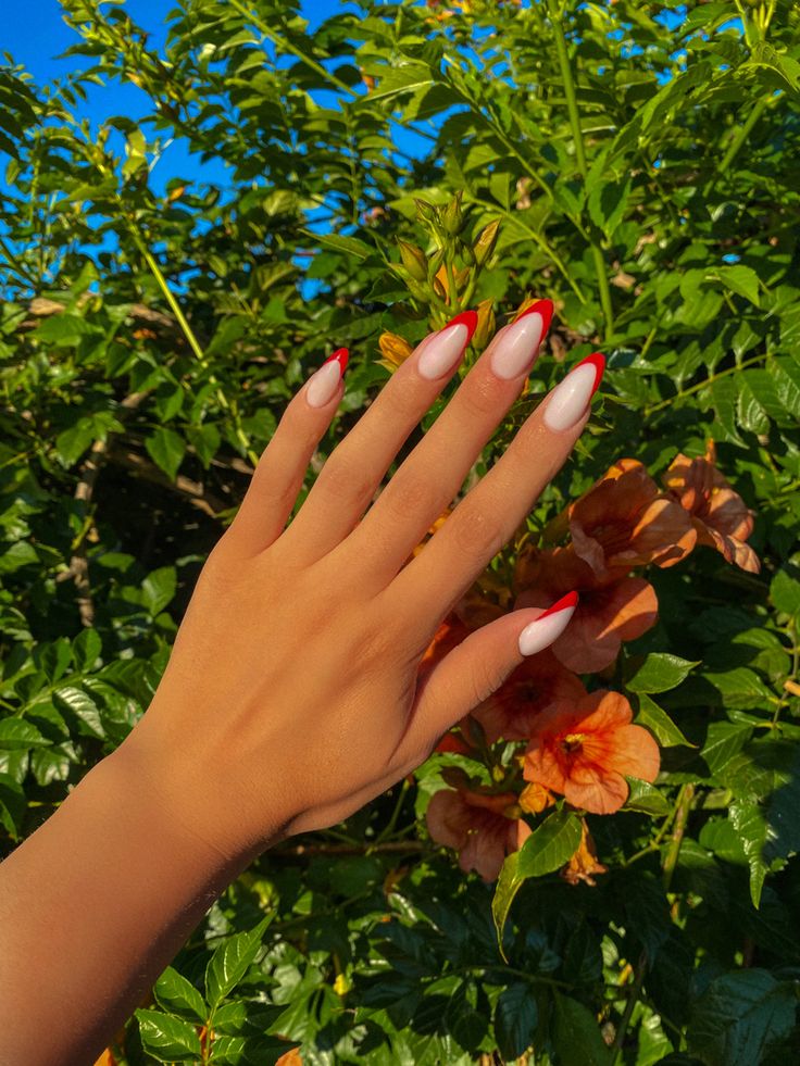 White Nails With Red French Tip, Red France Nails, Red French Nails Design, White Red Nails, French Nails Design, Red French Nails, Red French Manicure, Ombre Nail Polish, Red And White Nails