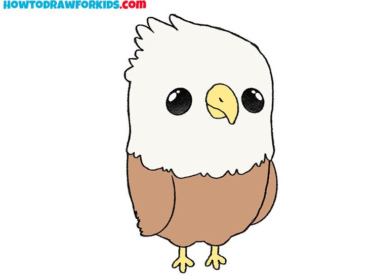 an eagle with big eyes is shown in this drawing lesson for kids to learn how to draw