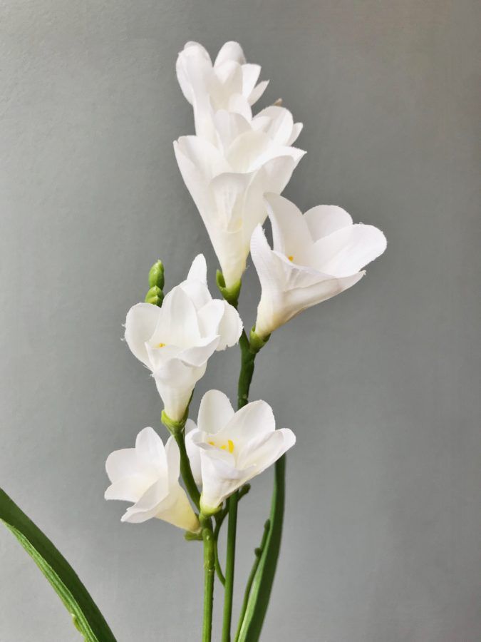 a vase with white flowers in it sitting on a table next to a gray wall