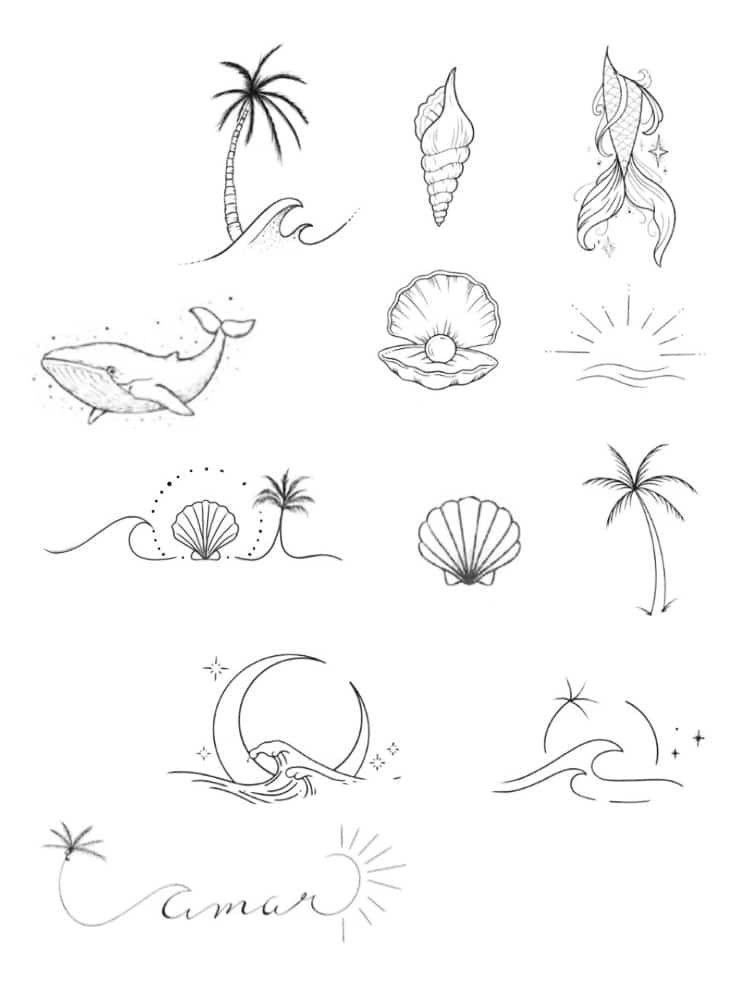 the different types of seashells are shown in this drawing