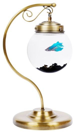 a fish in a glass bowl on a metal stand with a gold colored base and a white background