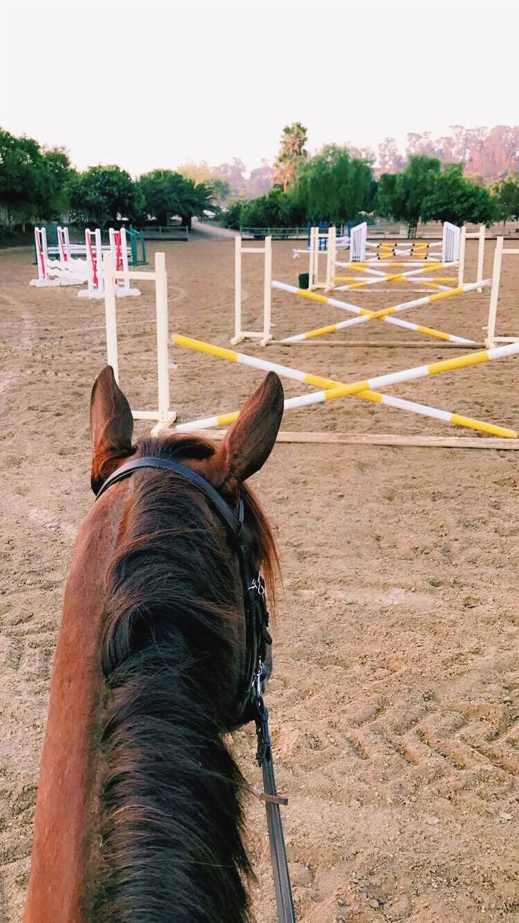 a brown horse standing on top of a sandy field next to white poles and trees