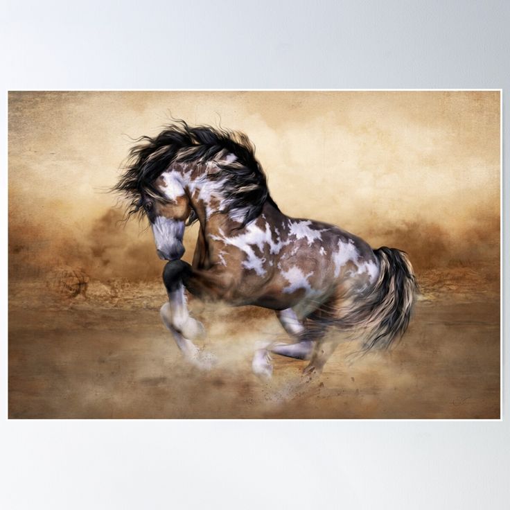 a brown and white horse running in the desert poster