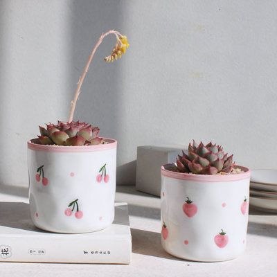 two potted plants sitting next to each other on top of a white countertop