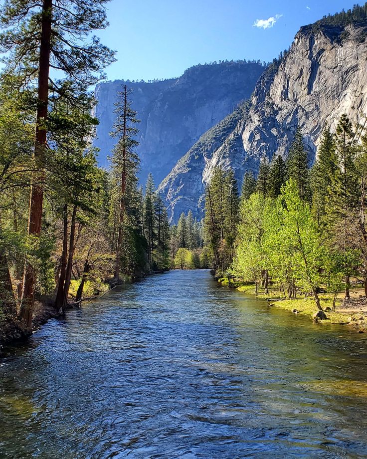 a river flowing through a lush green forest filled with tall mountains in the back ground