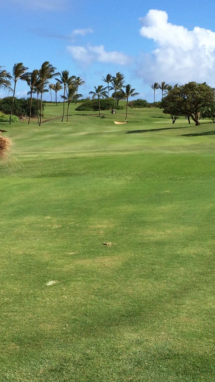 a golf course with palm trees in the background