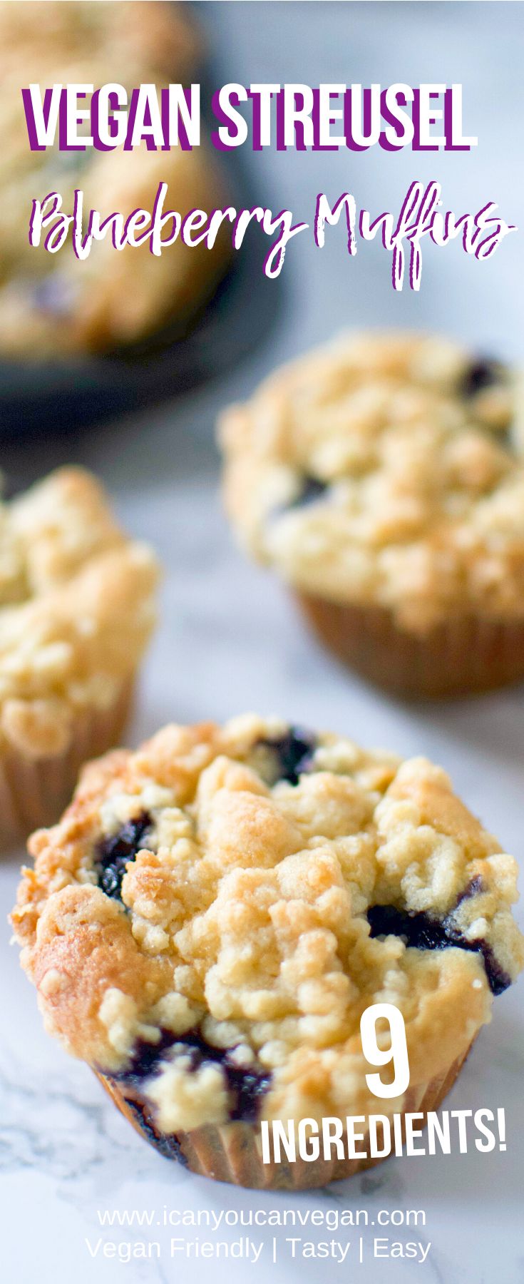 blueberry muffins with the title vegan streusel blackberry muffins