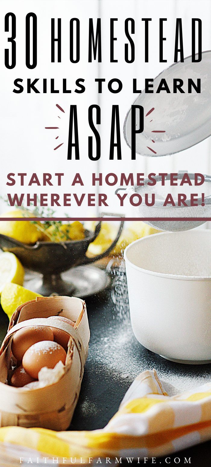 the words 30 homestead skills to learn asap start a homestead wherever you are