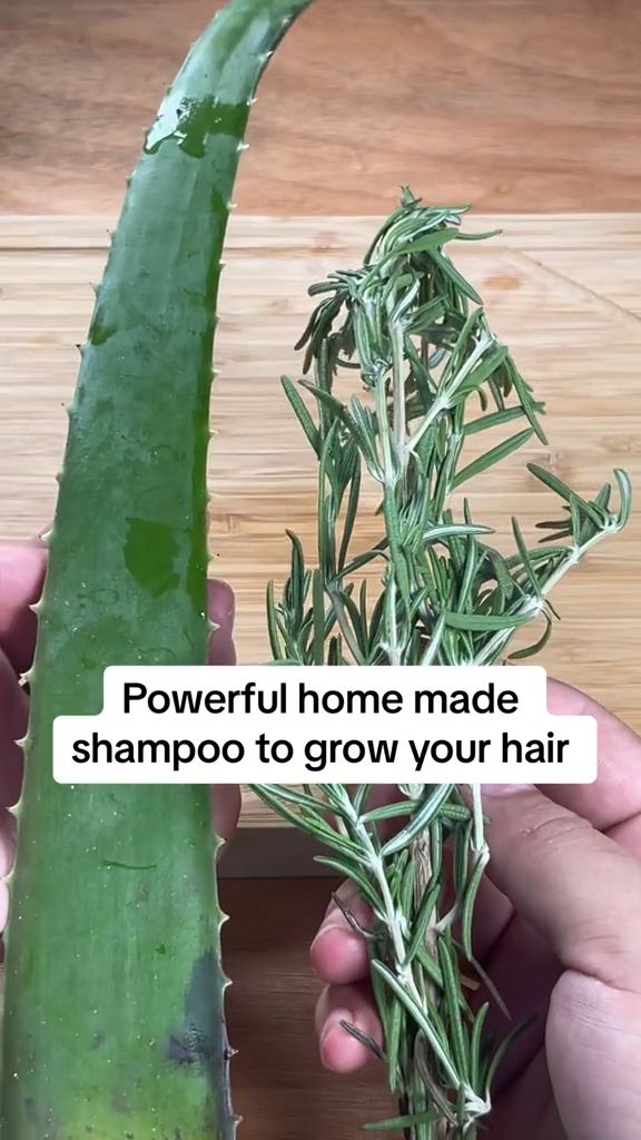 Here's how you can make homemade shampoo with just rosemary and aloe veraThis DIY Shampoo recipe for hair growth will improve your hair healht in no timeIf you want to learn more DIY shampoo recipes as a hair fall remedyvisit my blog at sashashairopshub.com Video Credit@toprecipes.1 hairgrowth hairloss diyhairshampoo hairloss Mexican Shampoo For Hair Growth, How To Make Your Own Shampoo For Hair Growth, Hair Growth Shampoo Homemade, Diy Aloe Shampoo, Diy Hair Growth Shampoo Homemade, Aloe Vera Shampoo Recipe, Homemade Hair Shampoo Recipes, Aloe Vera Conditioner Diy, Rosemary And Aloe Vera For Hair