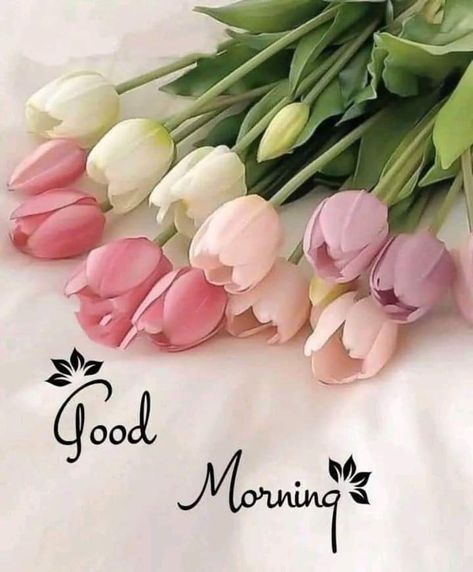 a bunch of pink and white tulips sitting on top of a bed with the words good morning