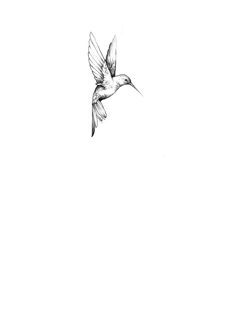 a drawing of a bird flying in the sky