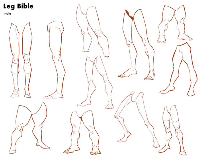 the legs and feet are drawn in red ink, with different angles to show them