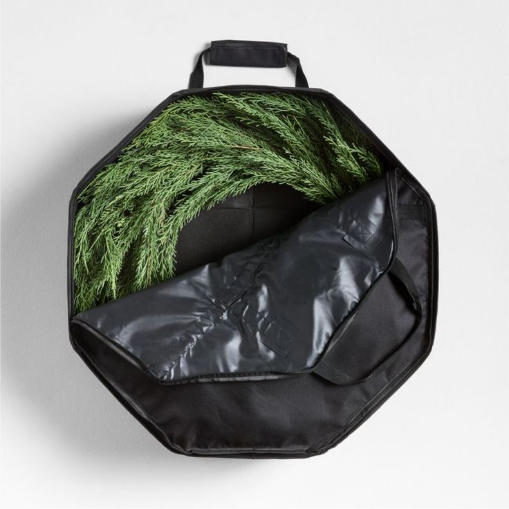 a black bag with green plants in it