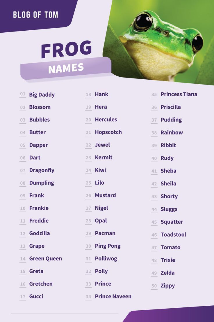 Frog Names Names For Build A Bear Frog, Build A Bear Frog Name Ideas, Frogs As Pets, How To Take Care Of A Frog, Names For Frogs, Cute Names For Build A Bear Frog, Gecko Name Ideas, Cute Plushie Names, Snail Names