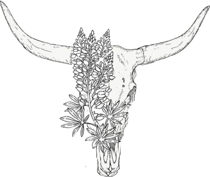 an animal skull with flowers on it's head is shown in this black and white drawing