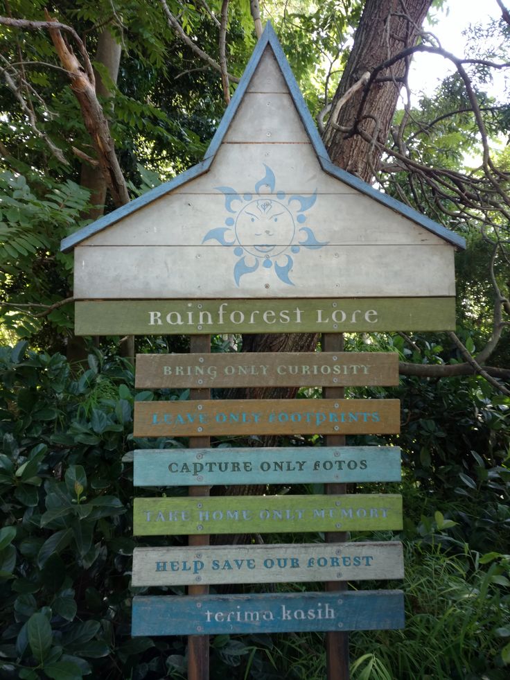 a sign for rainforest ice in front of some trees